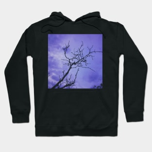 Retro tree photo (#2) Hoodie